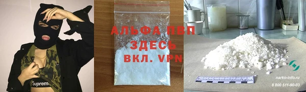 Альфа ПВП Няндома