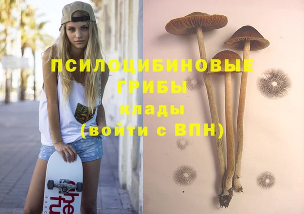Альфа ПВП Няндома